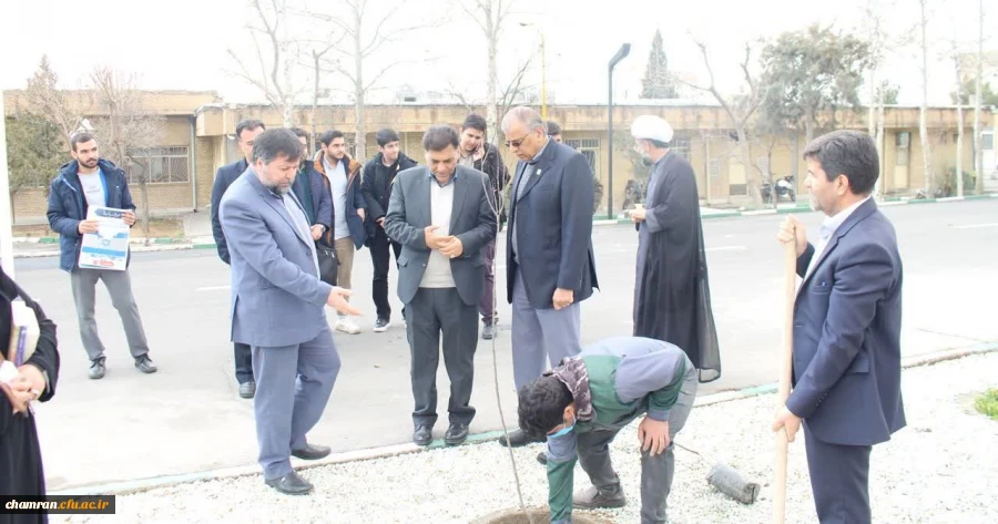 درختکاری در محوطه پردیس شهید چمران 2