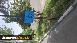 فضاسازی فرهنگی محوطه پردیس شهید چمران 3