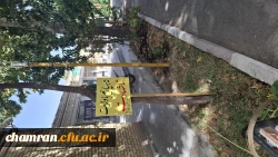 فضاسازی فرهنگی محوطه پردیس شهید چمران 7