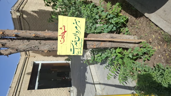 فضاسازی فرهنگی محوطه پردیس شهید چمران 8