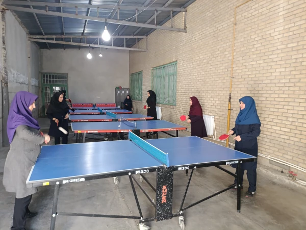 مسابقات ورزشی همکاران خانم به مناسبت هفته تربیت بدنی 3