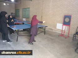 مسابقات ورزشی همکاران خانم به مناسبت هفته تربیت بدنی 8