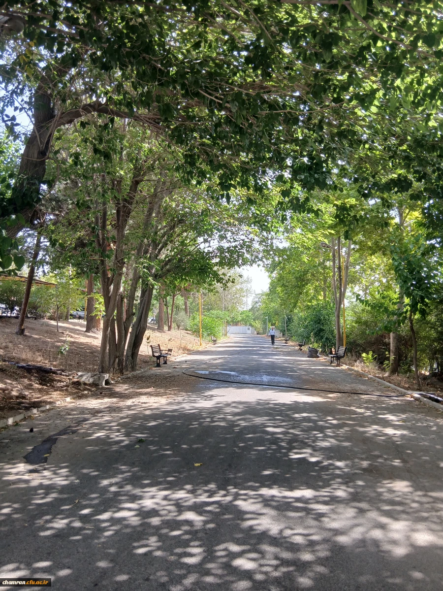 تصاویری از محوطه پردیس شهید چمران 3