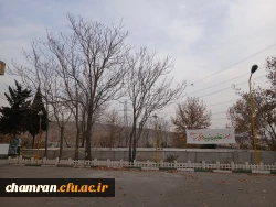 تصاویری از محوطه پردیس شهید چمران 6