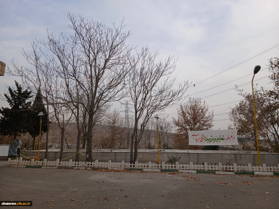تصاویری از محوطه پردیس شهید چمران 6