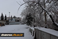 چشم انداز برفی در محوطه پردیس شهید چمران 3