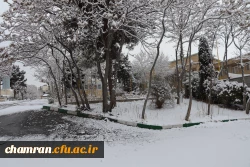چشم انداز برفی در محوطه پردیس شهید چمران 4