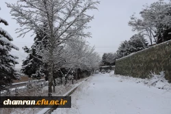 چشم انداز برفی در محوطه پردیس شهید چمران 9