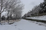 چشم انداز برفی در محوطه پردیس شهید چمران 17