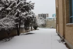 چشم انداز برفی در محوطه پردیس شهید چمران - ۳۰ دی ۱۴۰۴ 7