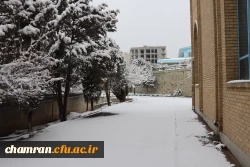 چشم انداز برفی در محوطه پردیس شهید چمران - ۳۰ دی ۱۴۰۴ 7
