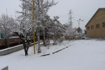 چشم انداز برفی در محوطه پردیس شهید چمران - ۳۰ دی ۱۴۰۴ 9