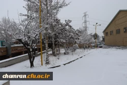 چشم انداز برفی در محوطه پردیس شهید چمران - ۳۰ دی ۱۴۰۴ 9