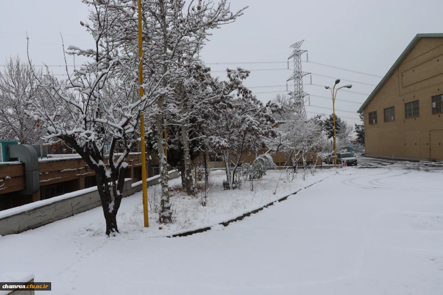 چشم انداز برفی در محوطه پردیس شهید چمران - ۳۰ دی ۱۴۰۴ 9