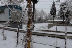 چشم انداز برفی در محوطه پردیس شهید چمران - ۳۰ دی ۱۴۰۴ 10