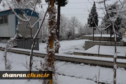 چشم انداز برفی در محوطه پردیس شهید چمران - ۳۰ دی ۱۴۰۴ 10
