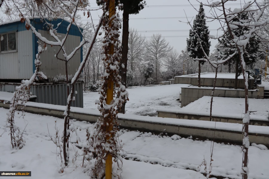 چشم انداز برفی در محوطه پردیس شهید چمران - ۳۰ دی ۱۴۰۴ 10