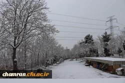 چشم انداز برفی در محوطه پردیس شهید چمران - ۳۰ دی ۱۴۰۴ 12