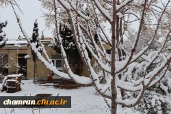 چشم انداز برفی در محوطه پردیس شهید چمران - ۳۰ دی ۱۴۰۴ 13