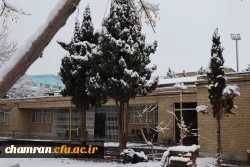 چشم انداز برفی در محوطه پردیس شهید چمران - ۳۰ دی ۱۴۰۴ 14