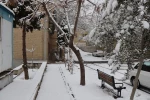 چشم انداز برفی در محوطه پردیس شهید چمران - ۳۰ دی ۱۴۰۴ 15