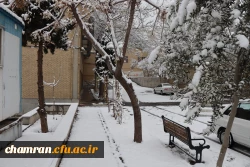 چشم انداز برفی در محوطه پردیس شهید چمران - ۳۰ دی ۱۴۰۴ 15