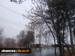 تصاویری از محوطه پردیس شهید چمران 7