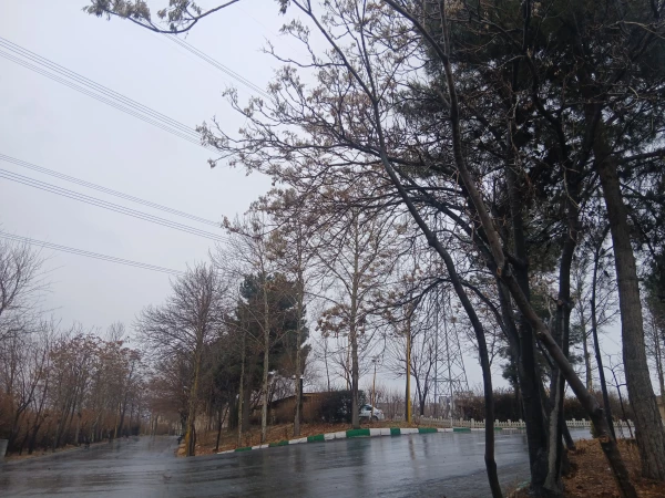 تصاویری از محوطه پردیس شهید چمران 7