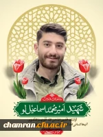 شهید دانشجومعلم بسیجی امیرمحمد اسماعیل لو